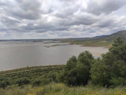 Flora del Cerro Masatrigo